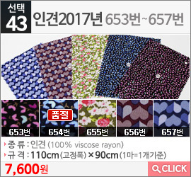 인견2017년 653번