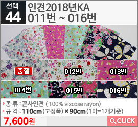 인견2018년KA 011번