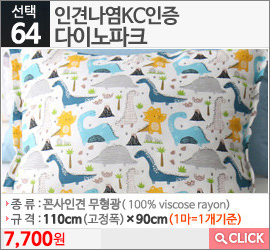 인견나염KC인증 다이노파크