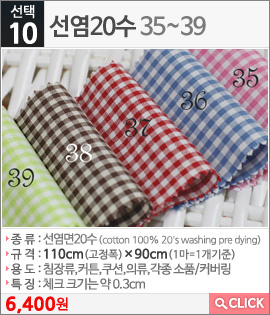 선염20수35