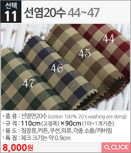선염20수44