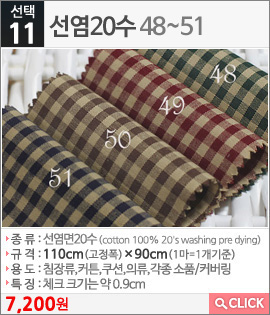 선염20수48