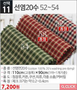 선염20수52