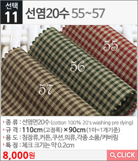 선염20수55