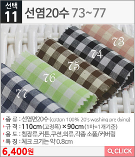 선염20수73