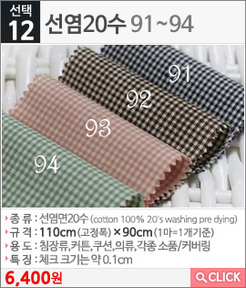 선염20수91
