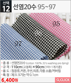 선염20수95