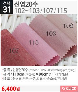 선염20수102