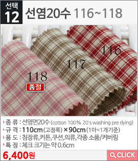 선염20수116