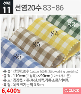 선염20수83