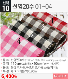선염20수01