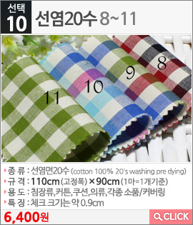 선염20수8