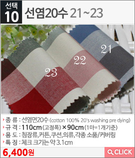 선염20수21