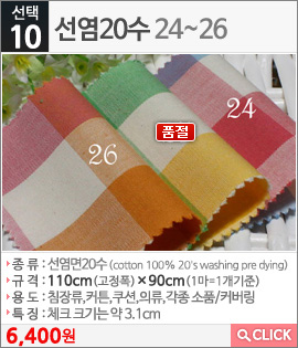 선염20수24