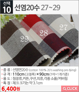 선염20수27