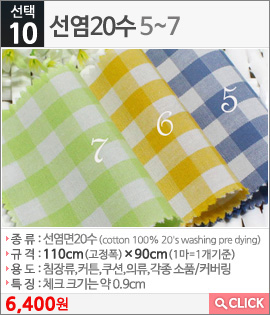 선염20수5