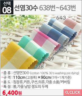 선염30수638번