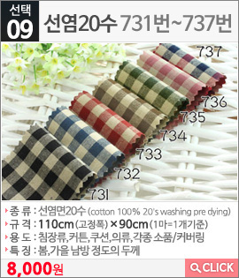 선염20수731번