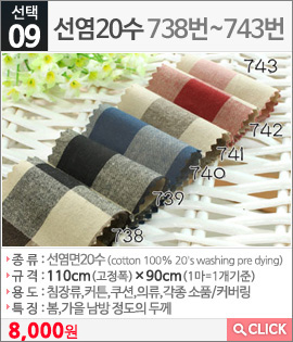 선염20수738번