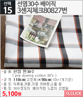 선염30수 베이직 3센지체크80827번