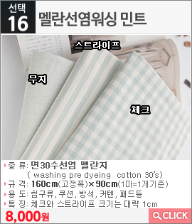 멜란선염워싱 민트 체크