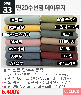 면20수선염 데이무지 01민트