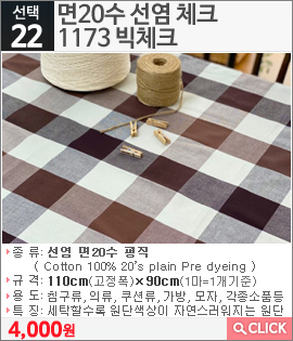 면20수 선염 체크1173 빅체크