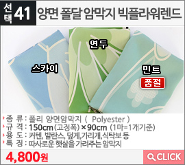 양면 폴달 암막지 빅플라워렌드 스카이
