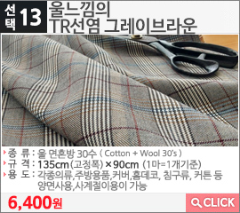 울느낌의 TR선염 그레이브라운