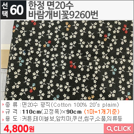 한정 면20수 바람개비꽃9260번