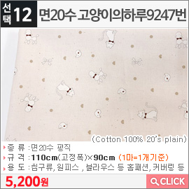 면20수 고양이의하루9247번