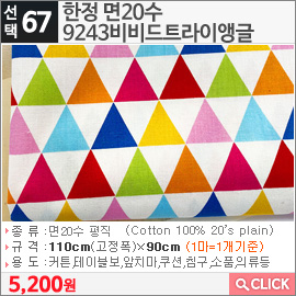 한정 면20수 9243비비드트라이앵글