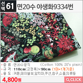 면20수 야생화9334번