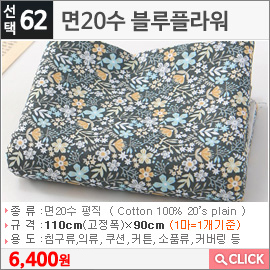 면20수 블루플라워