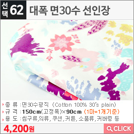대폭 면30수 선인장