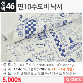 면10수도비 낙서