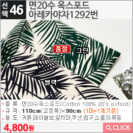 면20수 옥스포드 아레카야자1292번