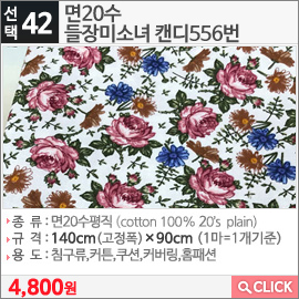  면20수 들장미소녀 캔디556번