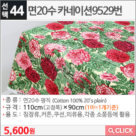 면20수 카네이션9529번