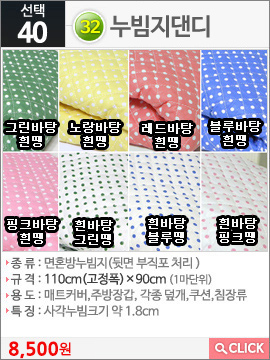 누빔지댄디그린바탕흰땡
