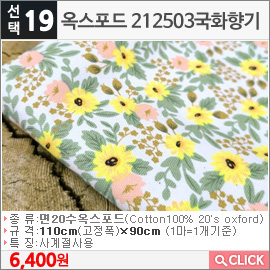  212503ȭ
