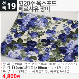 면20수 옥스포드 베르샤유 장미