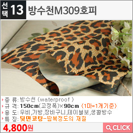 방수천M309호피