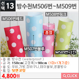 방수천M506번레드