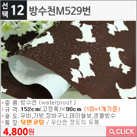방수천M529번