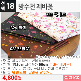 방수천 제비꽃622 화이트