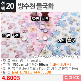 방수천 들국화 25번 와인