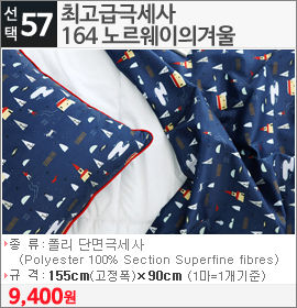 최고급극세사164 노르웨이의겨울